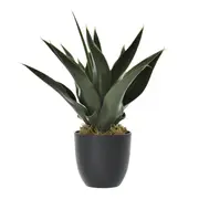 ARRANJO ALOE BABOSA - VERDE/PRETO - Foto 1