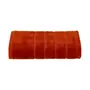 TERRACOTA - TOALHA DE PISO 80 CM X 48 CM CUSHY