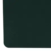 LUGAR AMERICANO 45 CM X 30 CM ARCOLADO - VERDE ESCARAVELHO - Foto 2
