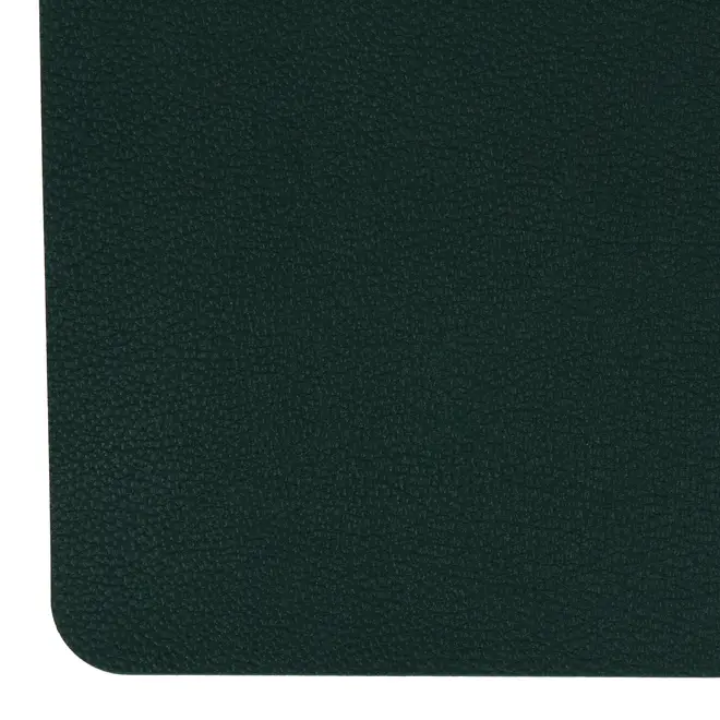 LUGAR AMERICANO 45 CM X 30 CM ARCOLADO - VERDE ESCARAVELHO - Foto 2