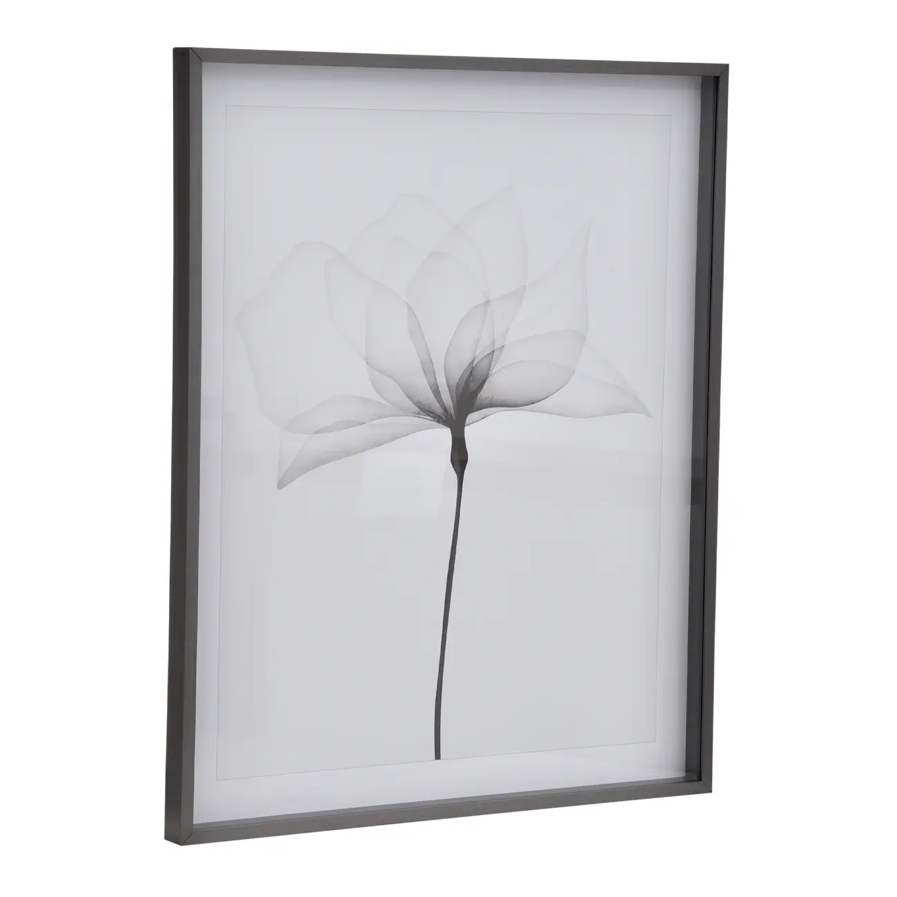 QUADRO 69 CM X 84 CM X-RAY FLOWERS I - KONKRET/BRANCO - Foto 2