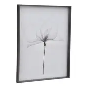 QUADRO 69 CM X 84 CM X-RAY FLOWERS I - KONKRET/BRANCO - Foto 2