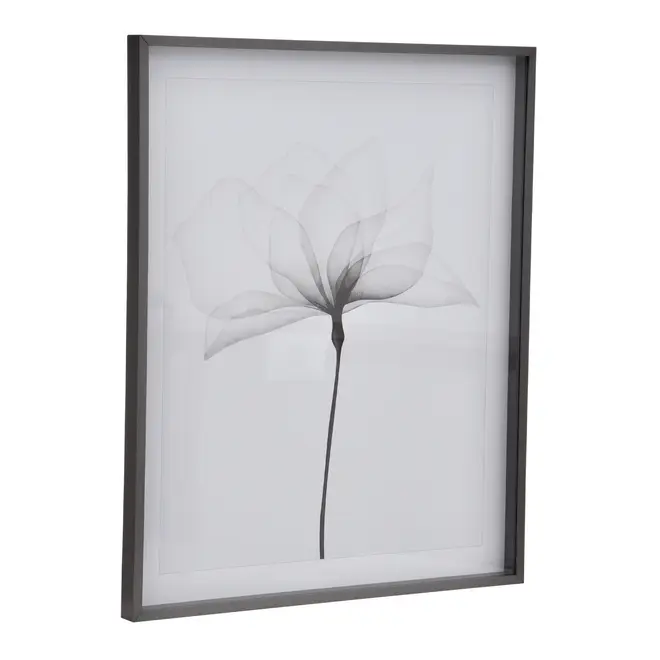 QUADRO 69 CM X 84 CM X-RAY FLOWERS I - KONKRET/BRANCO - Foto 2