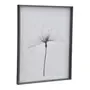 QUADRO 69 CM X 84 CM X-RAY FLOWERS I - KONKRET/BRANCO - Foto 2