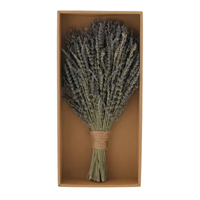 BOUQUET LAVANDA - LAVANDA/MULTICOR - Foto 1