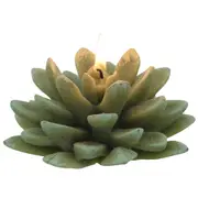 VELA SUCULENTA - VERDE - Foto 2