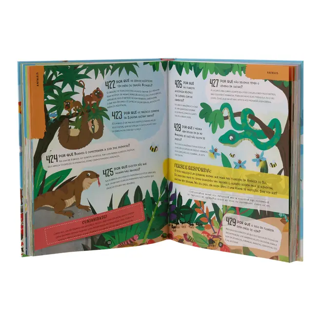 DOS 1000 PORQUÊS LIVRO INFANTIL - MULTICOR - Foto 5