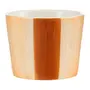 CANECA 325 ML TYC - MARROW DE LEI/CAQUI - Foto 4