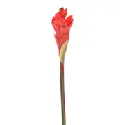 435796_OK_V01.png