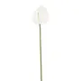 FLOR ANTHURIUM COPO DE LEITE - BRANCO/VERDE - Foto 1