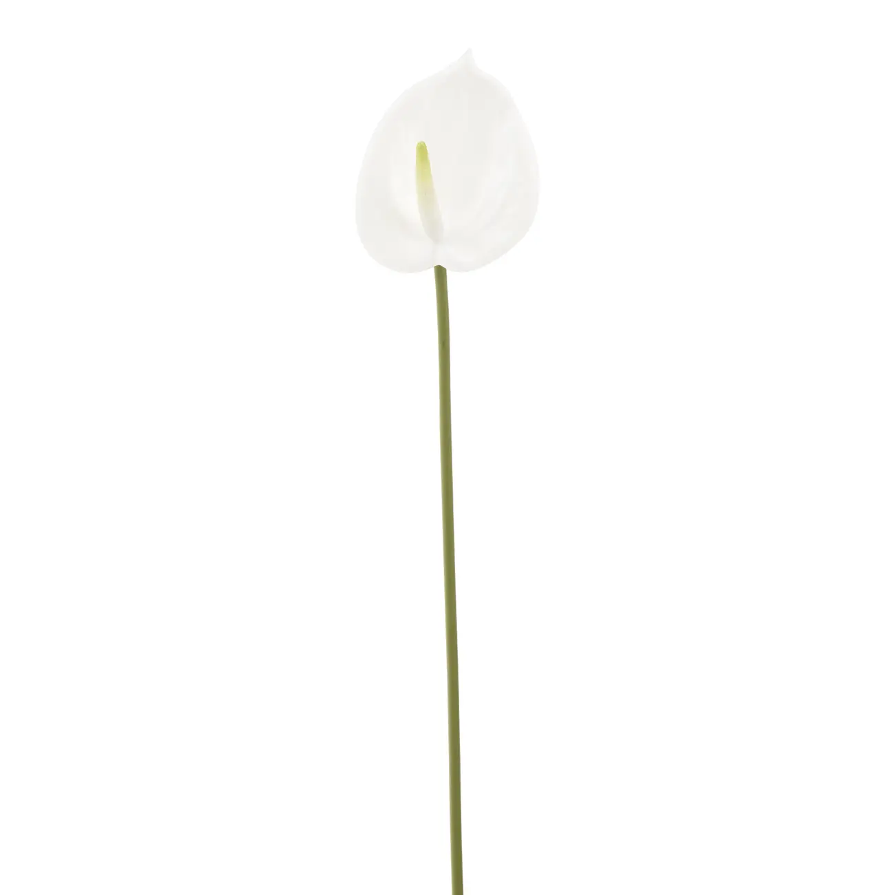 FLOR ANTHURIUM COPO DE LEITE - BRANCO/VERDE - Foto 1