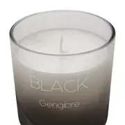 VELA PERFUMADA POTE GENGIBRE BLACK - PRETO/PRATA - Foto 3