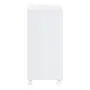 CARRINHO 2 PORTAS 55 CM X 42 CM PRÁTICA - BRANCO - Foto 7