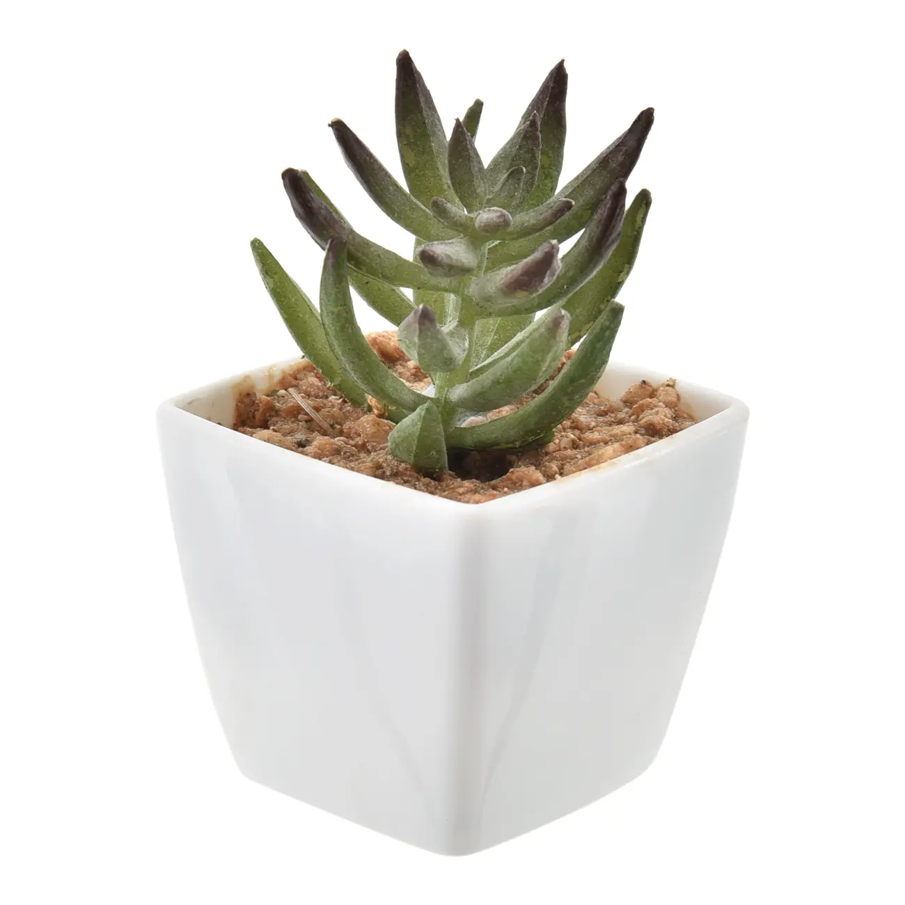 SUCULENTA MINI ARRANJO MULTMIX 6VRD - VARIADO - Foto 1