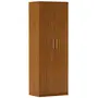 GUARDA-ROUPA/SAPATEIRA 2 PORTAS 45 MAXIMUS - FREIJÓ - Foto 30