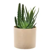 MINI ARRANJO MIX SUCULENTA UNAI 6VRD - VARIADO - Foto 1