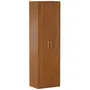 GUARDA-ROUPA 2 PORTAS 5 PRATELEIRAS 35 MAXIMUS - FREIJÓ - Foto 11