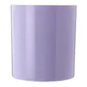 MOUSSE DE JABUTICABA - LIXEIRA 5 L AROUND