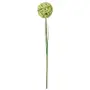 BOUQUET DELICATO - CIDREIRA/VERDE - Foto 1