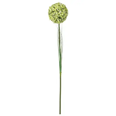 BOUQUET DELICATO