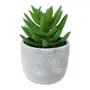 435288_OK_V02.png