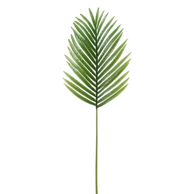 FOLHAGEM 1 M ROYALTY PALM