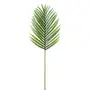 FOLHAGEM 1 M ROYALTY PALM - VERDE - Foto 1