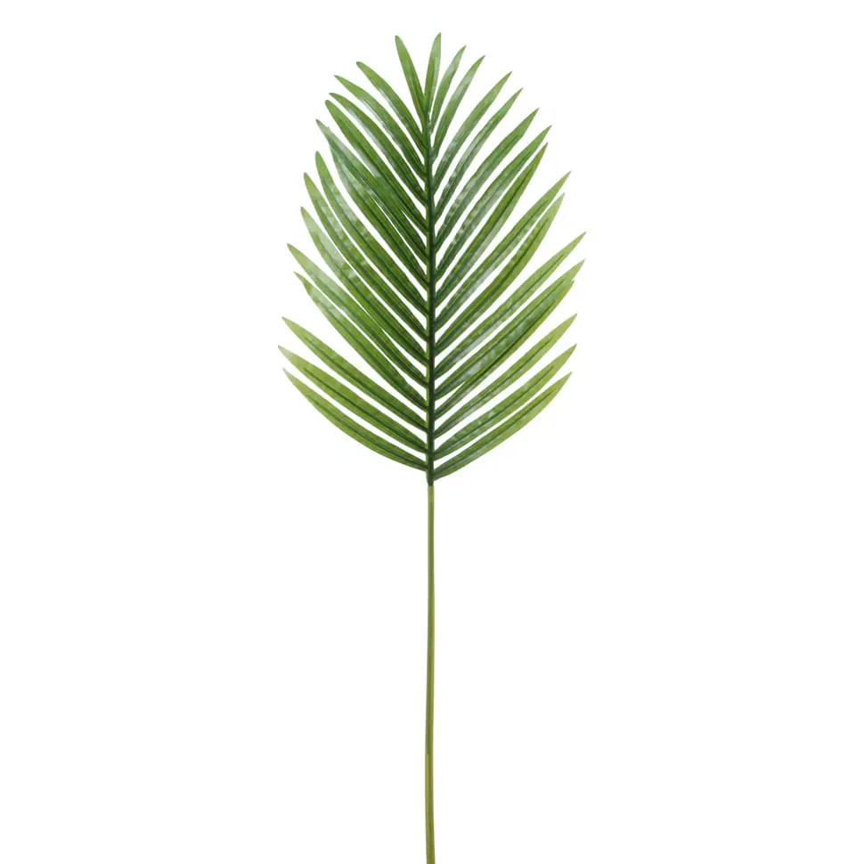 FOLHAGEM 1 M ROYALTY PALM - VERDE - Foto 1