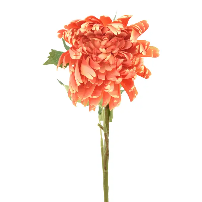 FLOR SPRING SPARY - LARANJA/VERDE - Foto 3