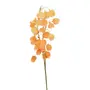 FLOR LANTERNS FLOWERS - BEGE - Foto 1