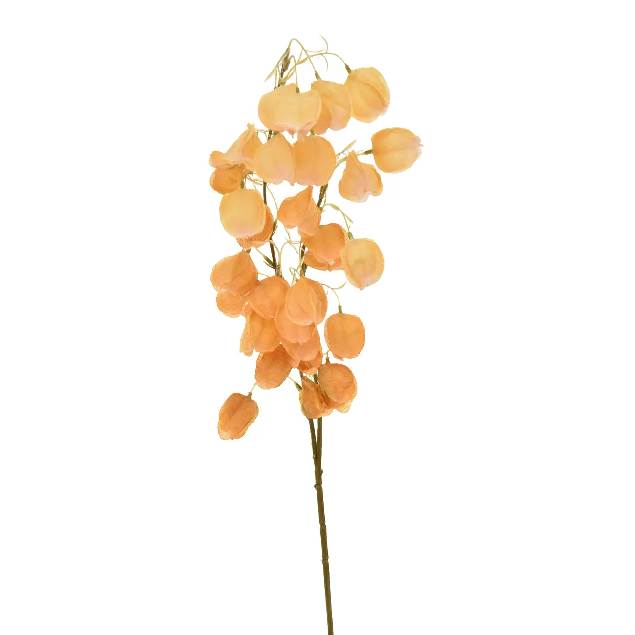 FLOR LANTERNS FLOWERS - BEGE - Foto 1
