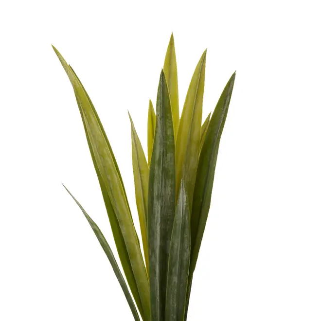 FOLHAGEM NOYER AMARÍLIS - VERDE - Foto 2