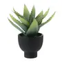ARRANJO ALOE - PRETO/VERDE - Foto 2