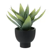 ARRANJO ALOE - PRETO/VERDE - Foto 2