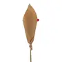 ARRANJO COM 20 FLORES FLOR DE CAPIM - VERMELHO/FIBRA CLARA - Foto 4