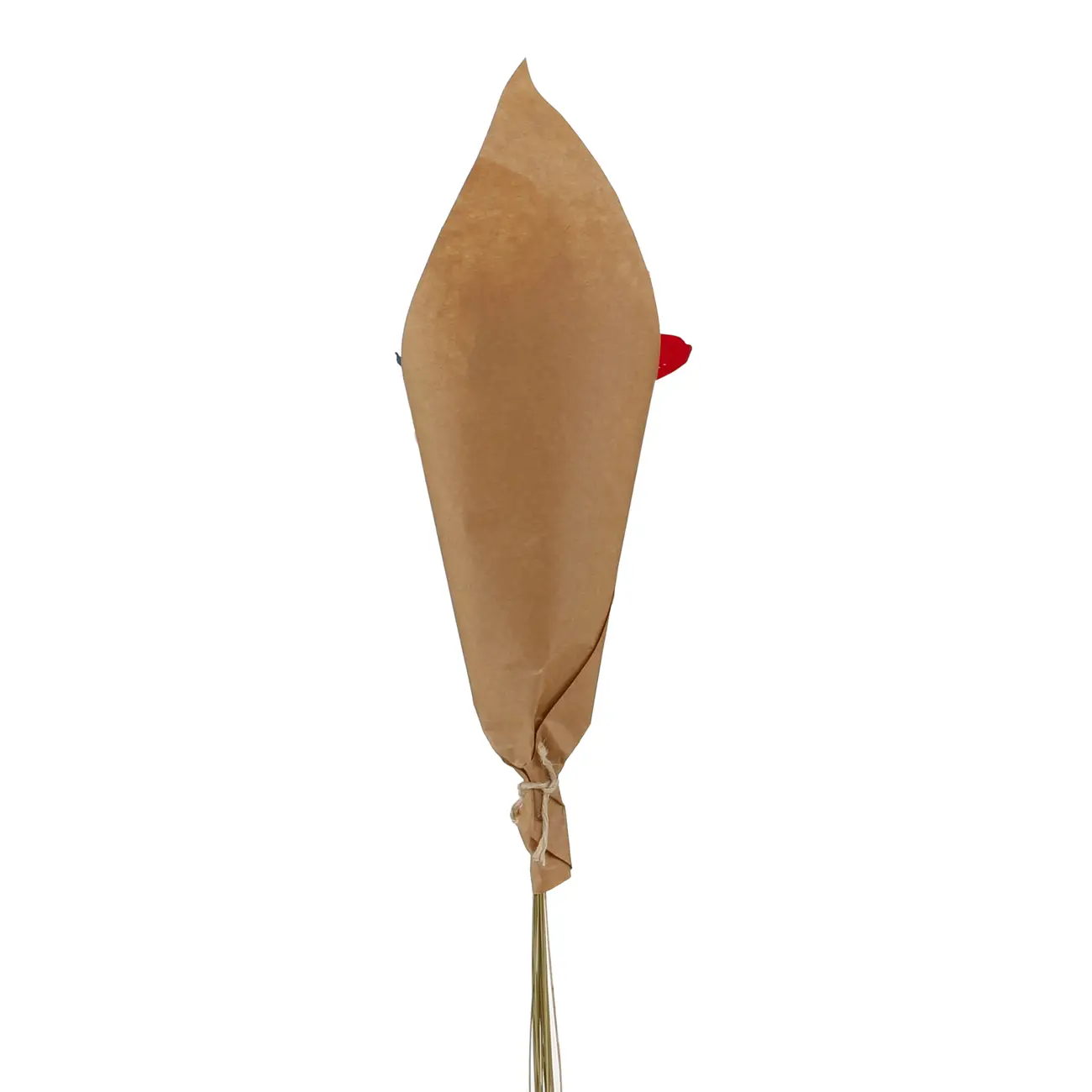 ARRANJO COM 20 FLORES FLOR DE CAPIM - VERMELHO/FIBRA CLARA - Foto 4