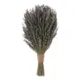 BOUQUET LAVANDA - LAVANDA/MULTICOR - Foto 3