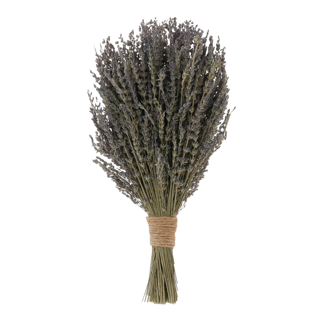 BOUQUET LAVANDA - LAVANDA/MULTICOR - Foto 3