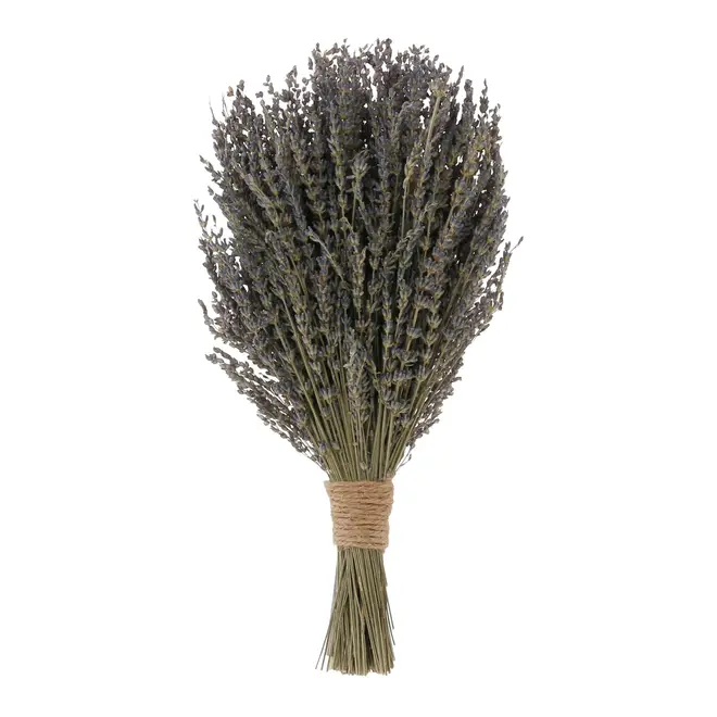 BOUQUET LAVANDA - LAVANDA/MULTICOR - Foto 3