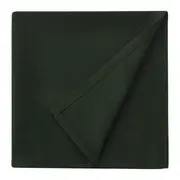 GUARDANAPO DE TECIDO 40 CM X 40 CM CONJUNTO COM 4 SPLENDID - VERDE - Foto 2