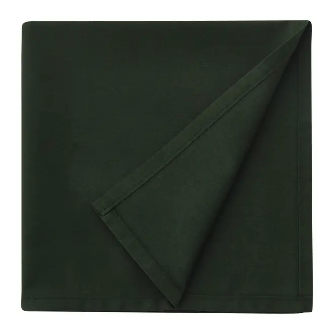GUARDANAPO DE TECIDO 40 CM X 40 CM CONJUNTO COM 4 SPLENDID - VERDE - Foto 2