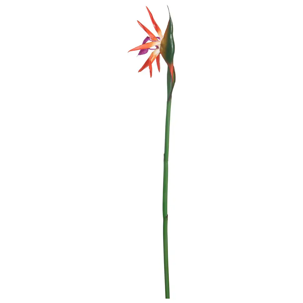 MADAME FLOR ESTRELÍCIA - LARANJA/VERDE - Foto 1