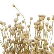 FLOR FOLHAGEM CONGONHA - FIBRA CLARA - Foto 7