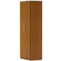 GUARDA-ROUPA/SAPATEIRA 2 PORTAS 45 MAXIMUS - FREIJÓ - Foto 12