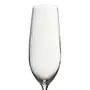 TAÇA CHAMPANHE 260 ML ESTROFES TITAN - INCOLOR - Foto 3