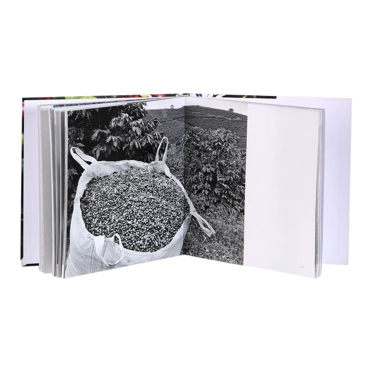 LIVRO CAFÉ NO BRASIL - MULTICOR - Foto 4
