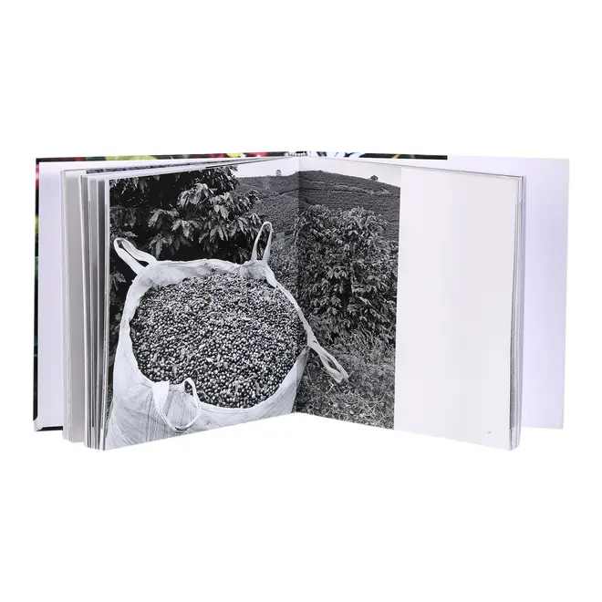 LIVRO CAFÉ NO BRASIL - MULTICOR - Foto 4