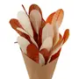 ARRANJO CAJUZIN - TERRACOTA/FIBRA CLARA - Foto 4