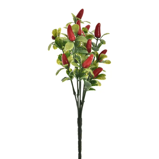 BOUQUET DE PIMENTAS - VERMELHO/VERDE - Foto 1