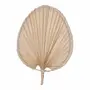 LEQUE DECORATIVO 54 CM PALMAVENTO - NATURAL - Foto 2